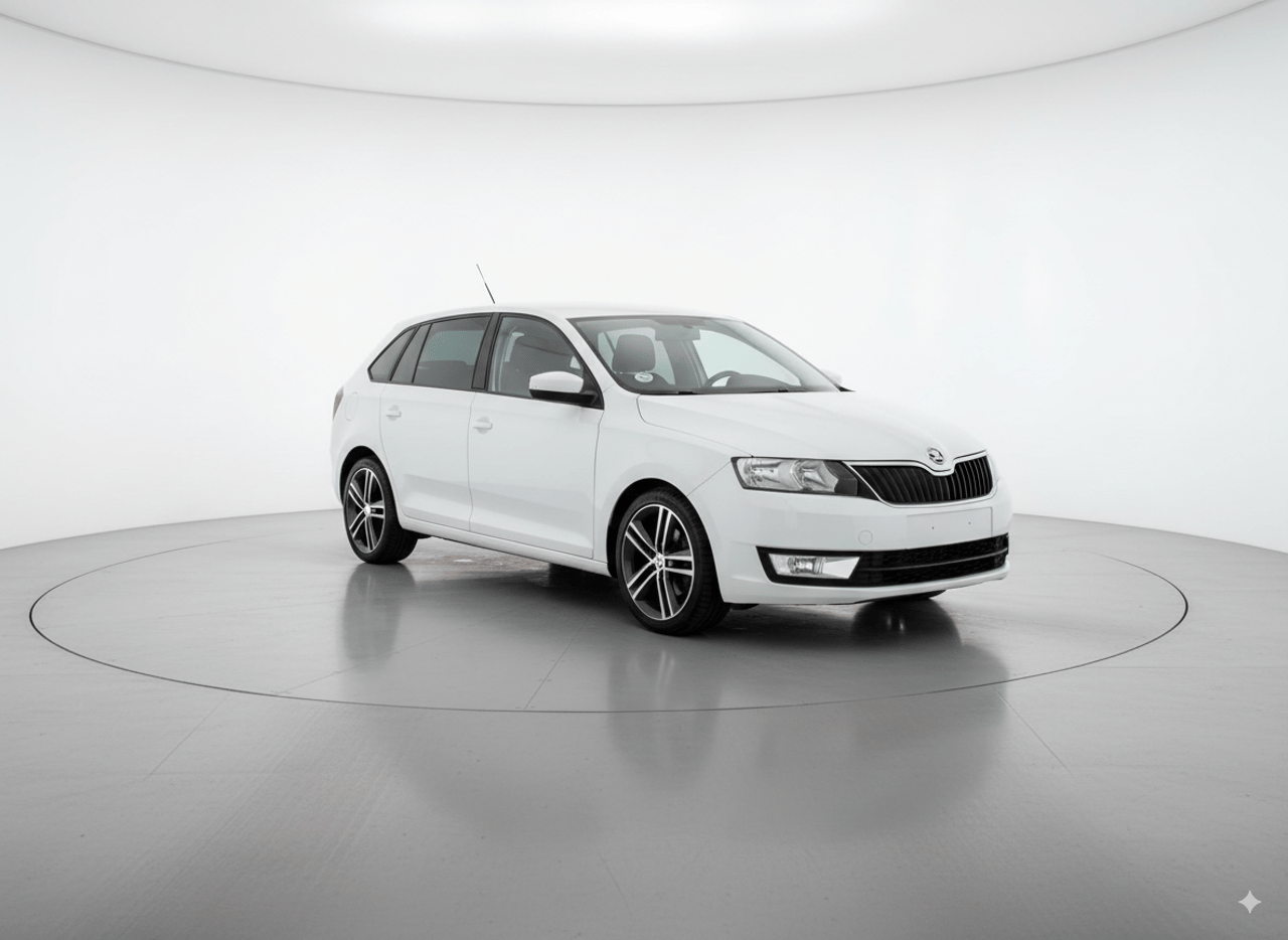 Brugt Skoda Rapid