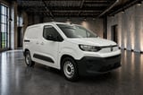 Billede af en Citroen e-Berlingo 2024