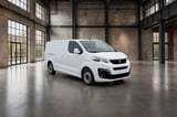 Billede af en Peugeot Expert 2021