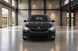 Billede af en Skoda Fabia 2016