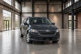 Billede af en Skoda Fabia 2019
